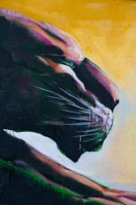 Harry James - Rue Jacques Louvel-Tessier 10è - Avril 2011