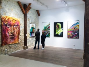 Expo de Hopare pour la galerie 42b à l'Espace Léon, rue Léon Frot 11è - Mai 2015