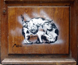 MissTic - La chatte et son chatton - rue Laplace 05è - Juin 2001