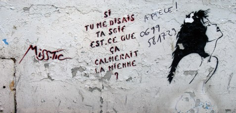 MissTic - Si tu me disais ta soif est-ce que ça calmerait la mienne - rue Geoffroy St Hilaire 05è - Juin 2001