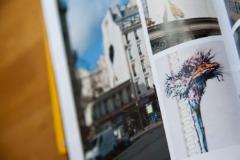 Graffiti Art #9 - Trois photos de l'autruche géante de Bonom et une du bon français de Pixel Pancho dans la rubrique Outdoor.