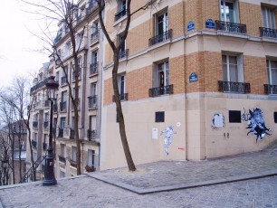 S.T.Ticks - Duster132 - Rue Foyatier 18è - Février 2009